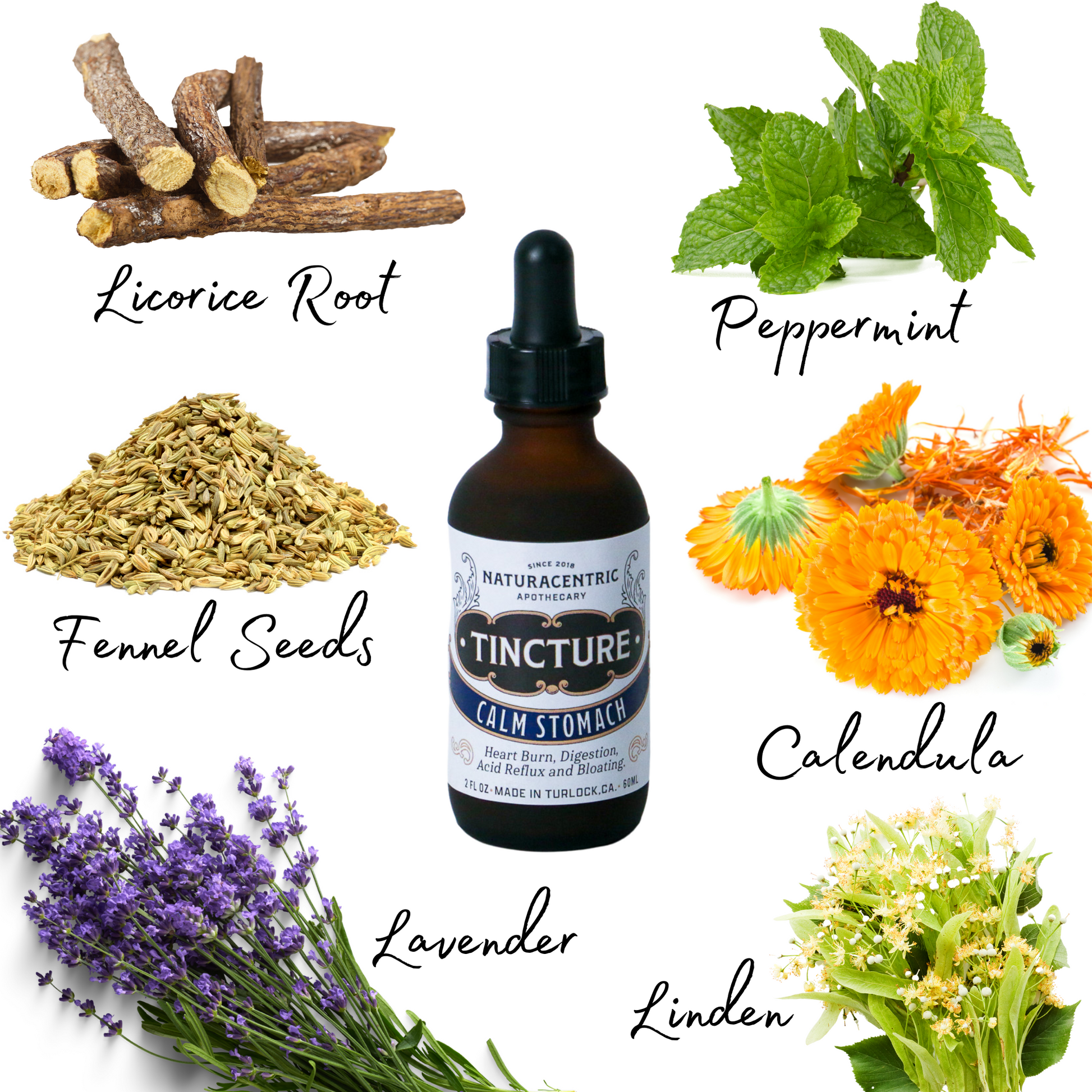 Calm Stomach Tincture - Concordia Style Boutique
