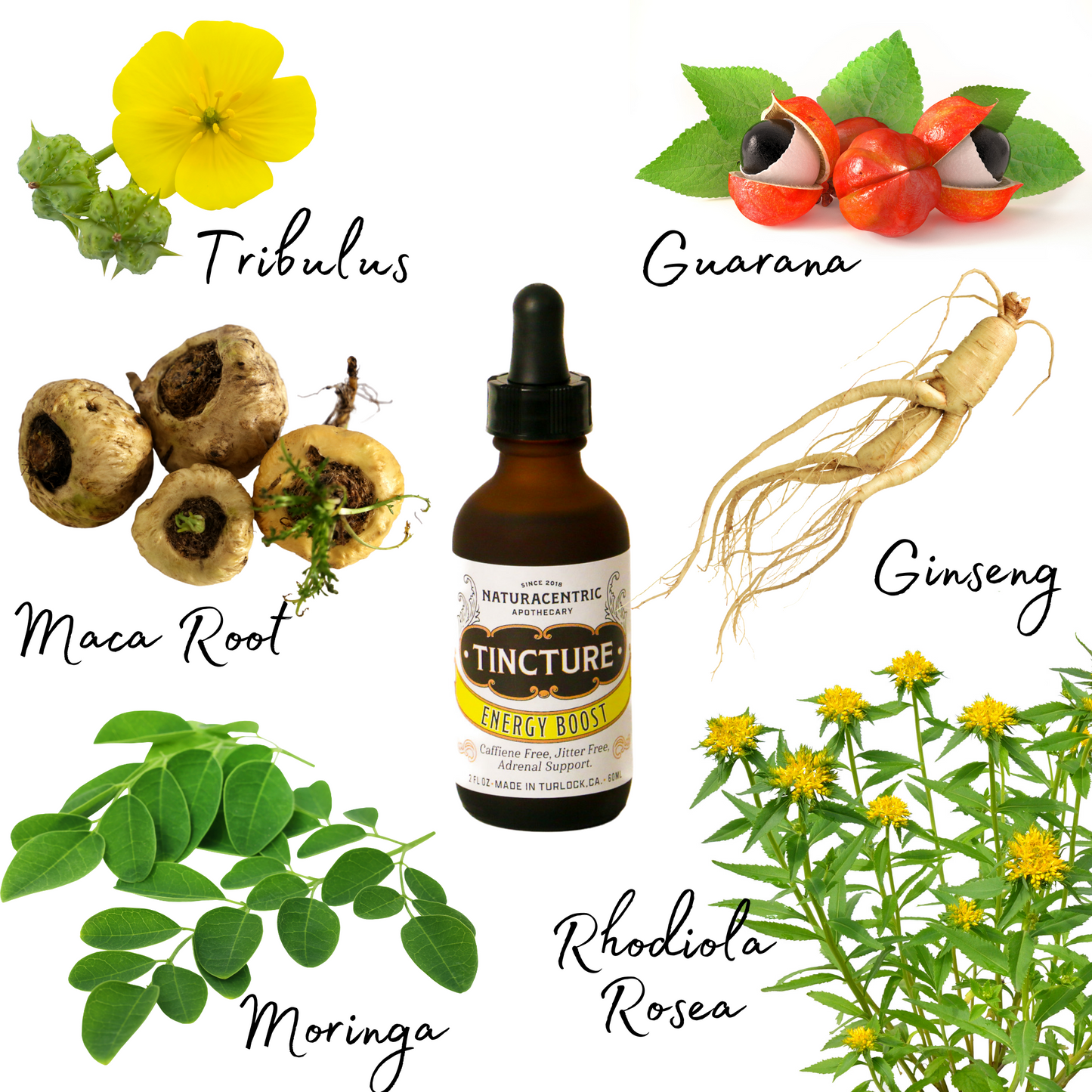 Energy Boost Tincture - Concordia Style Boutique