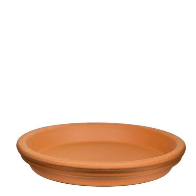 2" or 4.3'' Terracotta Pot