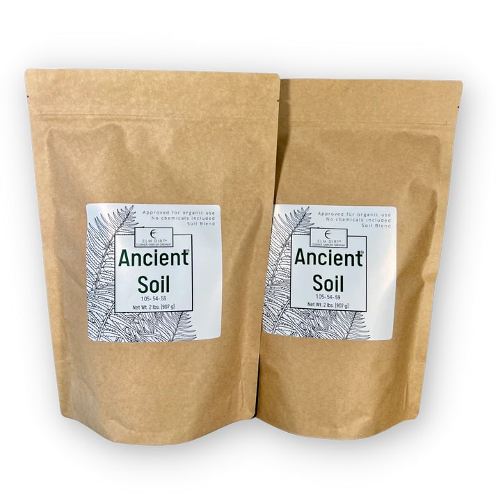 Ancient Soil: Organic Living Soil for Thriving Plants - Concordia Style Boutique