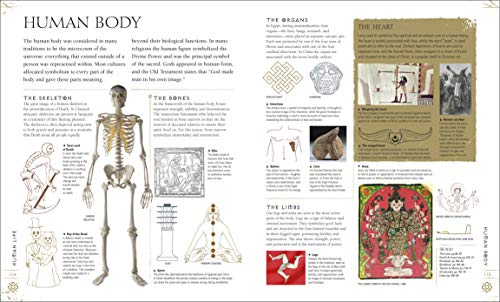 Signs and Symbols: An Illustrated Guide to Their Origins and Meanings (DK Compact Culture Guides) - Premium book from Concordia Style Boutique - Just $26.99! Shop now at Concordia Style Boutique