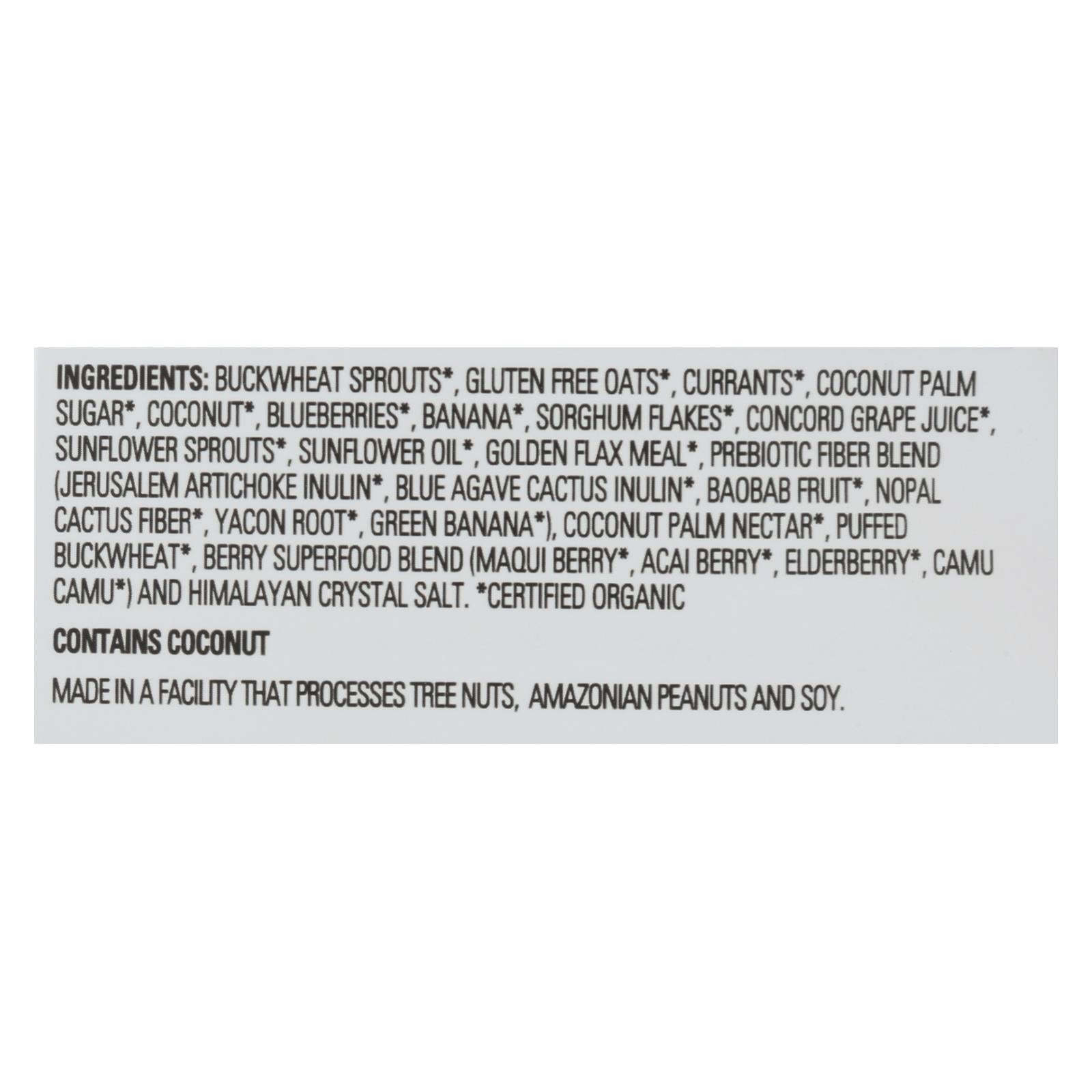 Activated Superfood Cereal Blueberry Blast by Living Intentions (Pack of 6 - 9 Oz.) - Concordia Style Boutique