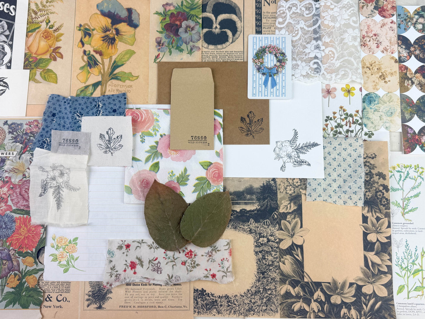 Botanical and Nature Ephemera Kit - Concordia Style Boutique