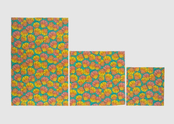 Beeswax Food Wrap - Sunrise Shell Print - Concordia Style Boutique