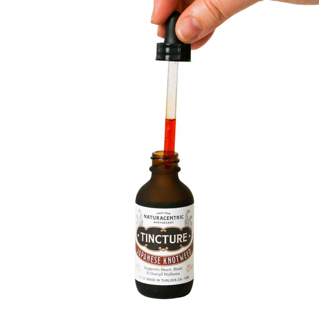 Japanese Knotweed Tincture - Concordia Style Boutique