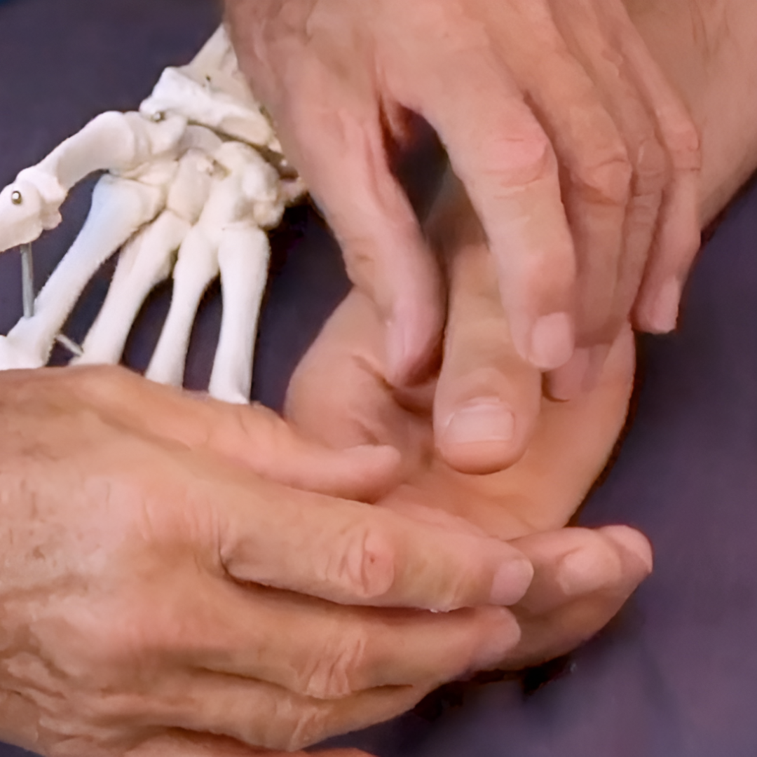 NAT Treating Elbow and Wrist Injuries (2.5 hrs) - Concordia Style Boutique