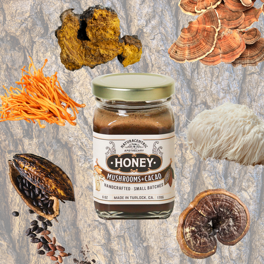 Mushrooms + Cacao Infused Honey - Concordia Style Boutique
