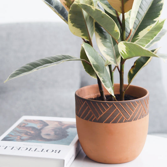 5.5 inch Clay-Black Color Modern Pot