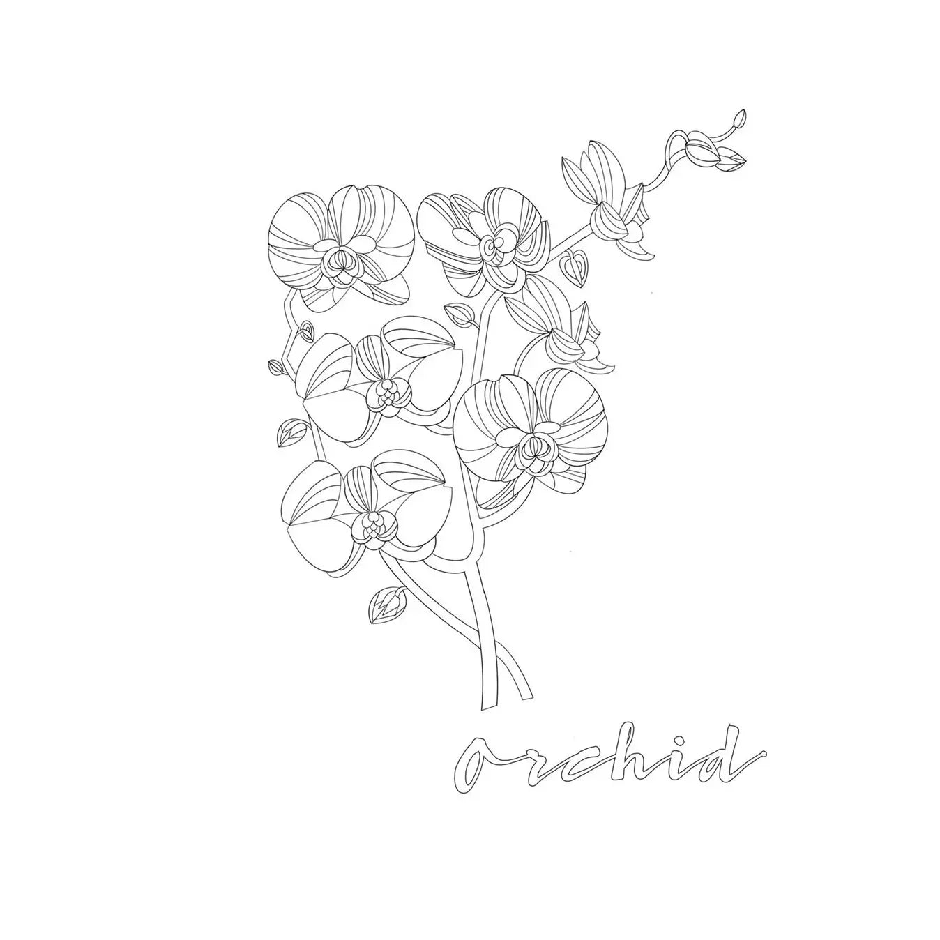 Coloring Book Aquarius - Concordia Style Boutique