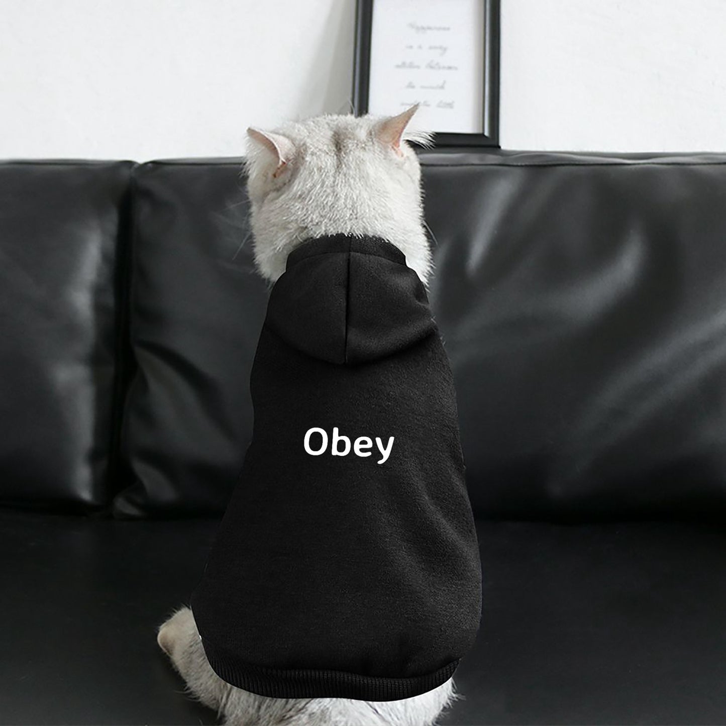 Pet Hooded Suit - "Obey" - Premium pet hoodie from Concordia Style Boutique - Just $17.50! Shop now at Concordia Style Boutique