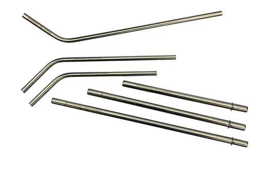 Individual Stainless Steel & Glass Straws for Mason Jars - Concordia Style Boutique