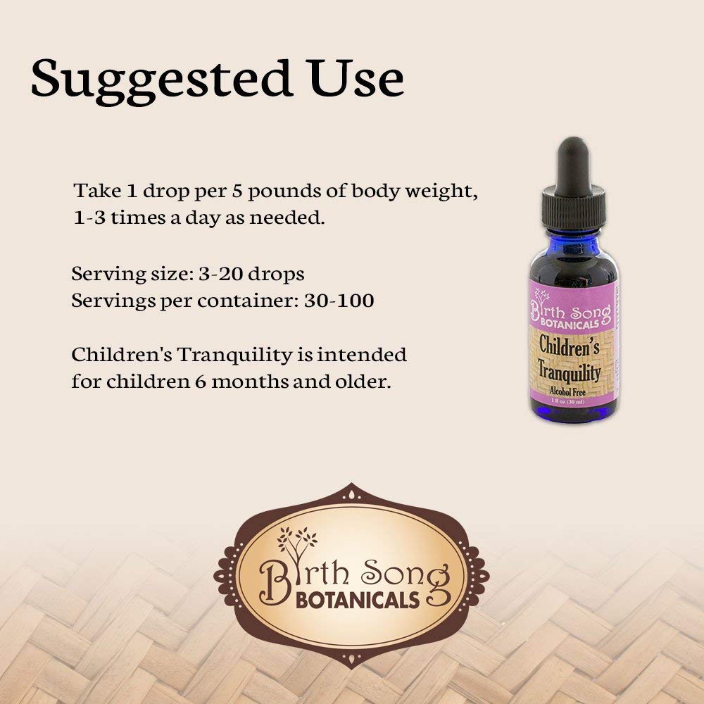Children's Tranquility, Children's Sleep Aid* Relaxing Herbal Tincture with Chamomile for Sleep Support* 1 oz - Concordia Style Boutique