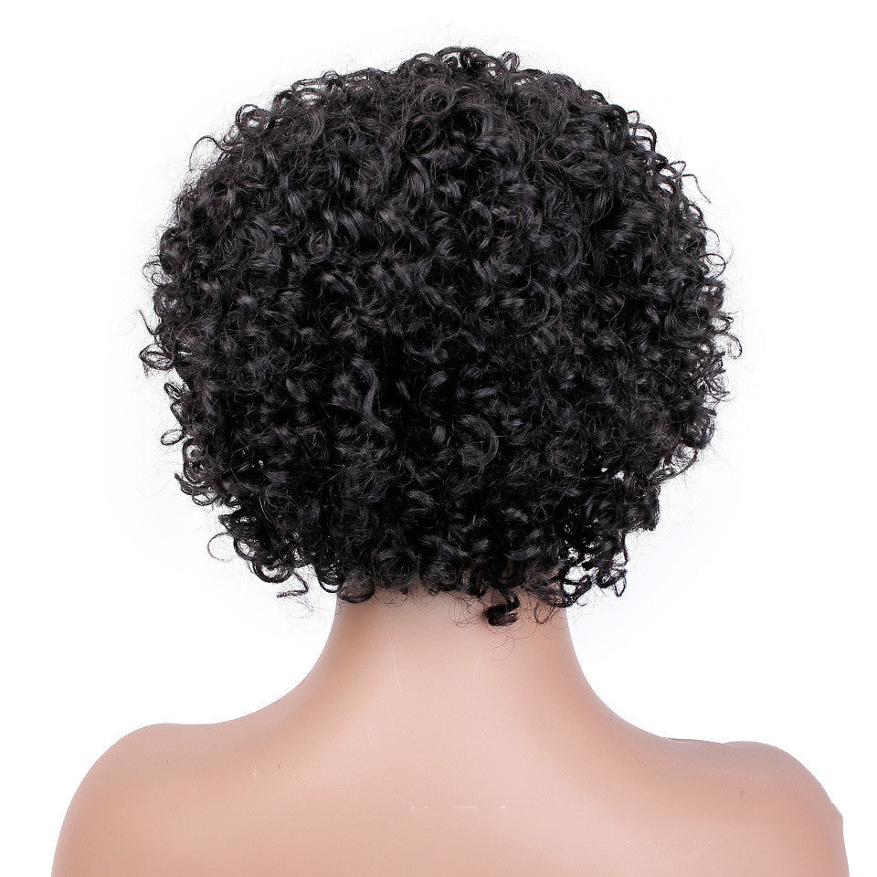 Short Curly Hair Wig - Real Human Hair - Premium wig from Concordia Style Boutique - Just $29.97! Shop now at Concordia Style Boutique