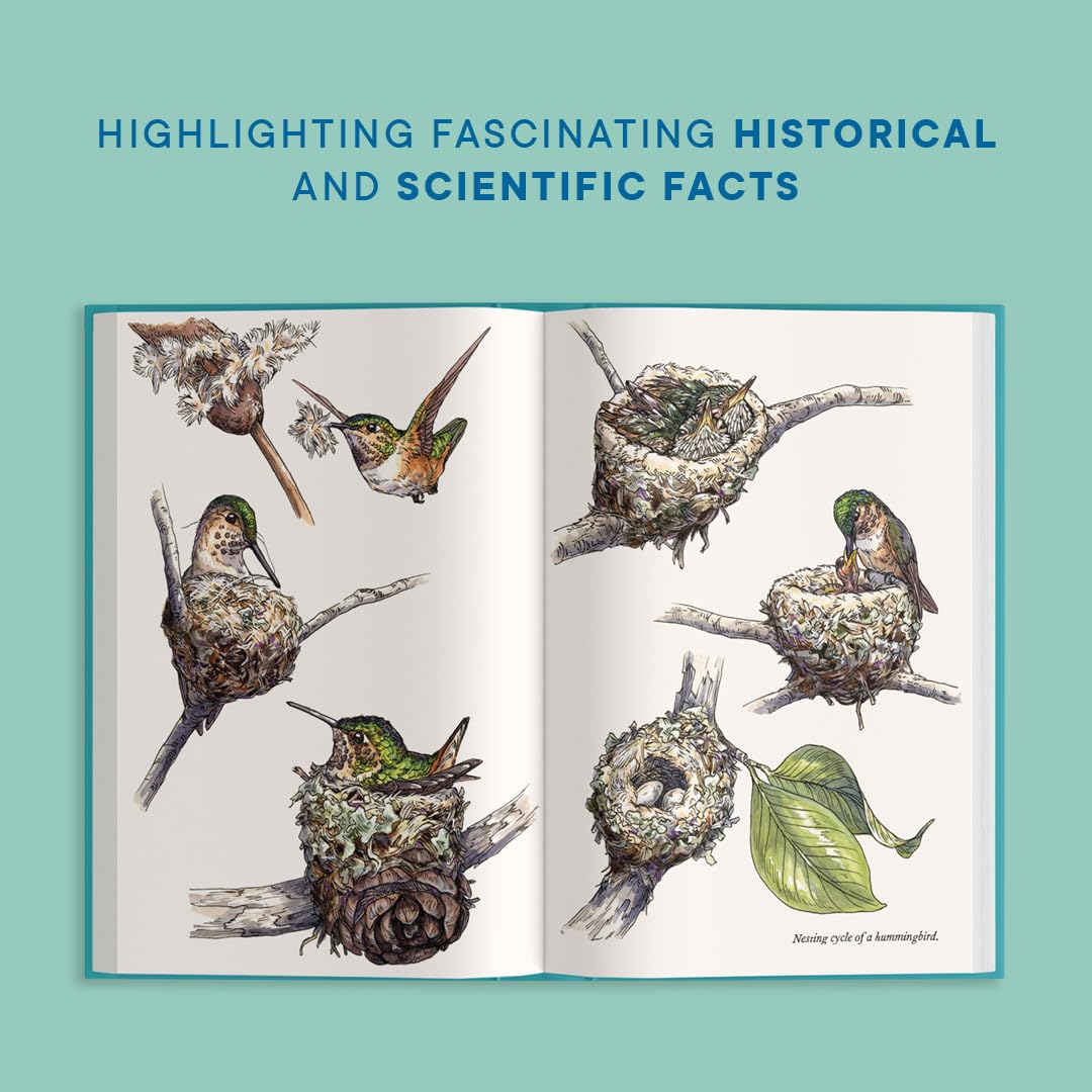 Little Book of Hummingbirds
