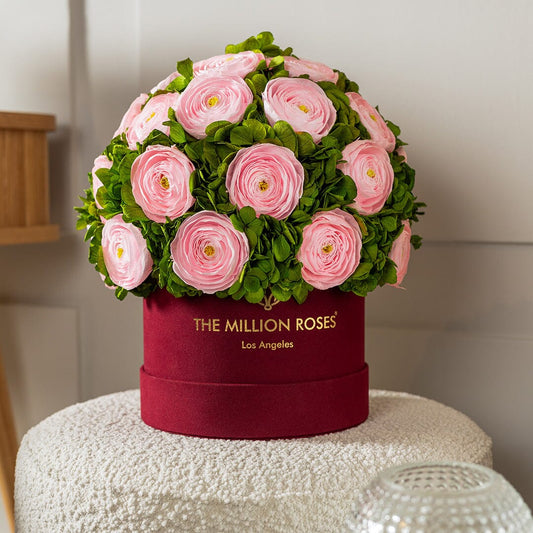 Classic Bordeaux Suede Box | Light Pink Persian Buttercups & Green Hydrangeas