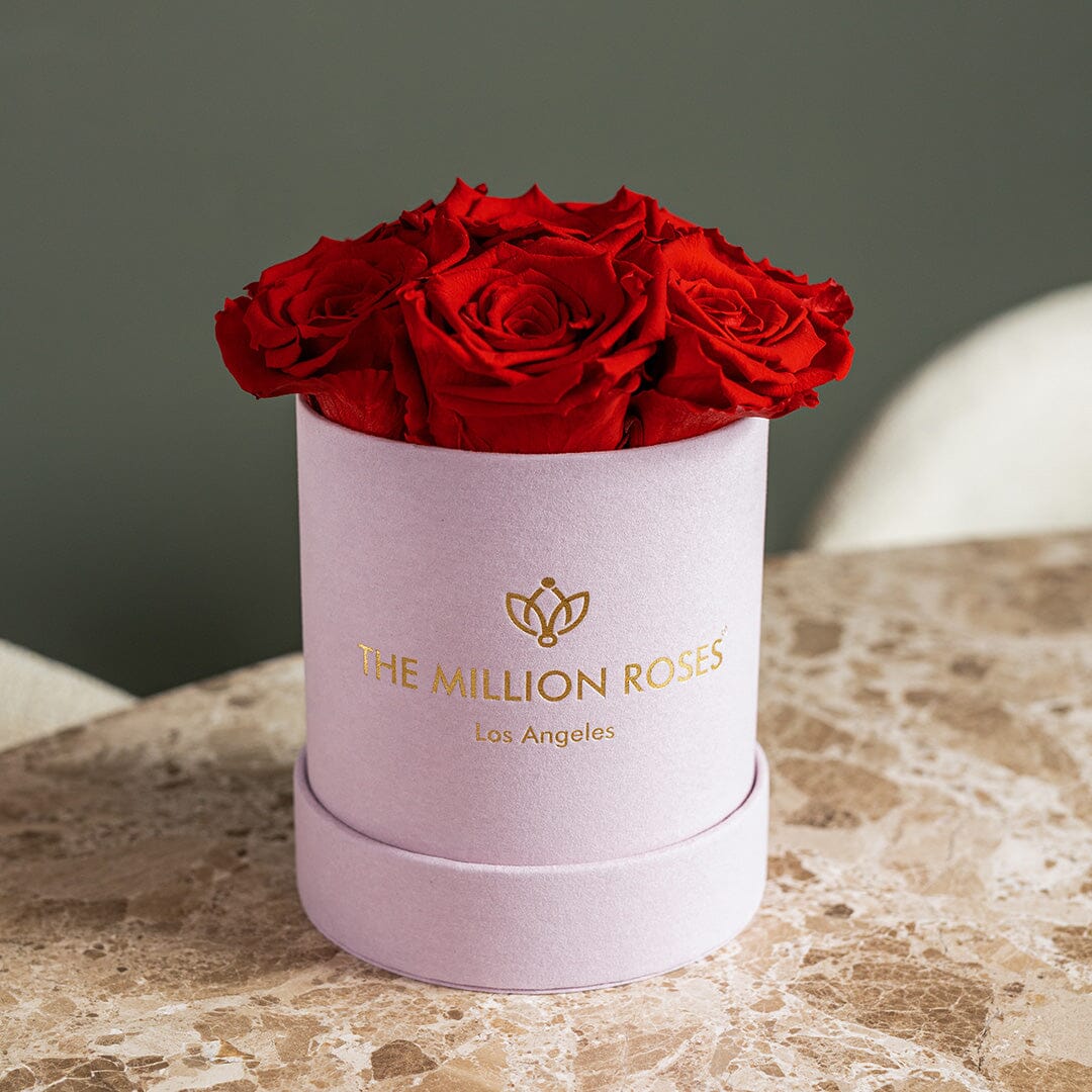 Basic Light Pink Suede Box | Red Roses