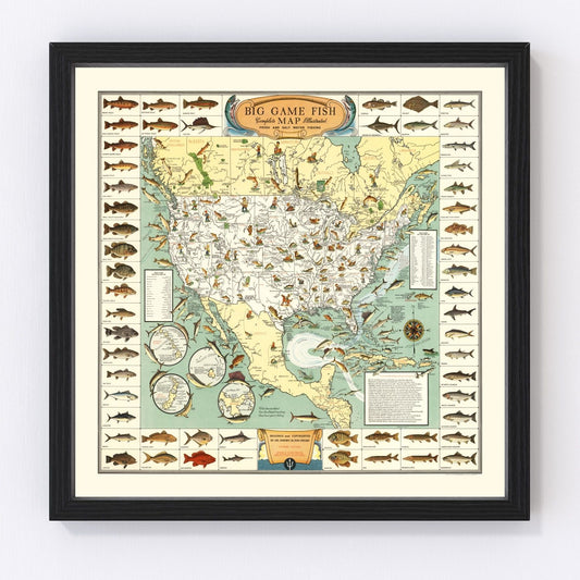 Vintage Map of Big Game Fish of America 1936