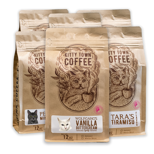 6 Bag Flavor Sampler - Concordia Style Boutique