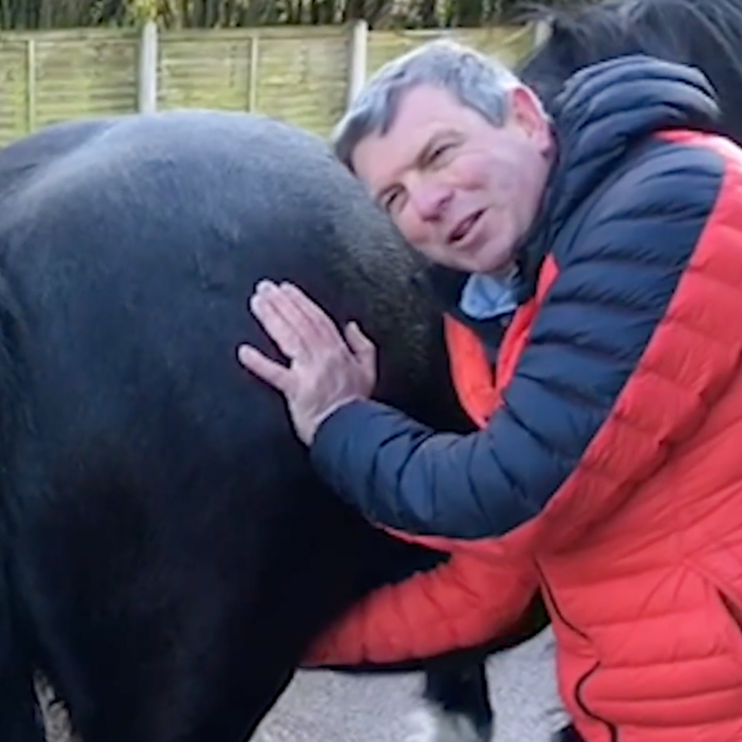 Trigger Point Therapy for Horses - NAT Certification Course (4 hrs) - Concordia Style Boutique