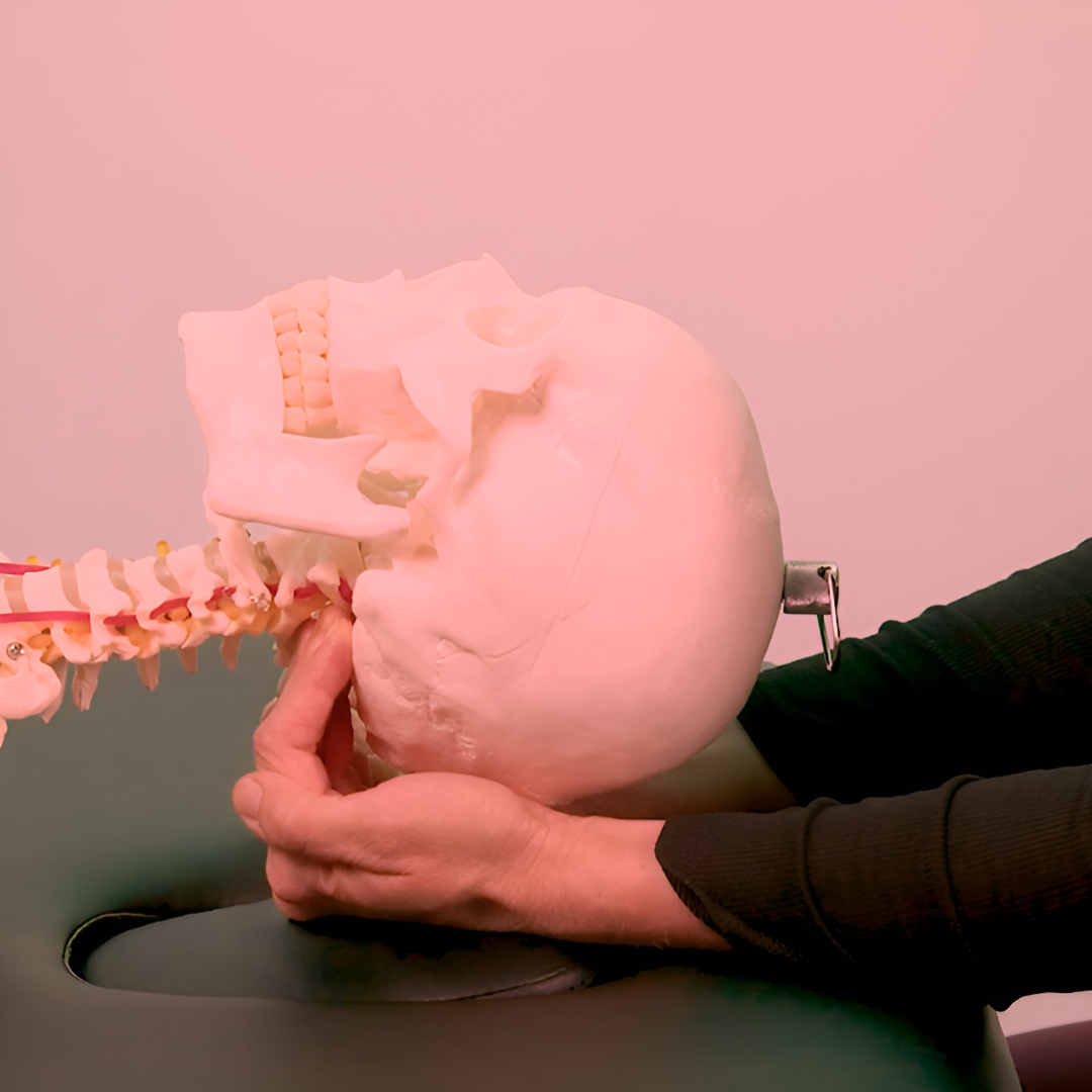 Integrative Cranio-Sacral Therapy (5.5 hrs) - Concordia Style Boutique