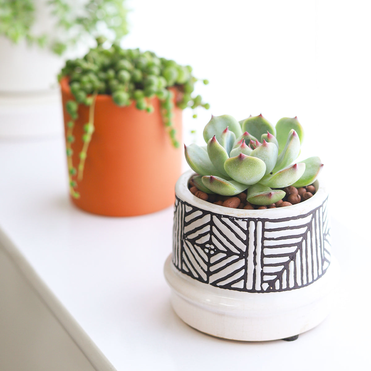 Tribal Pot