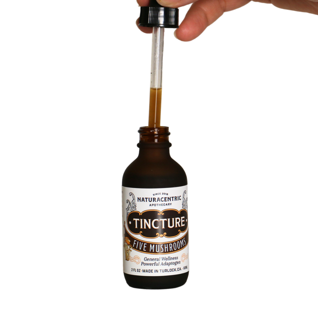 Five Mushrooms Tincture - Concordia Style Boutique