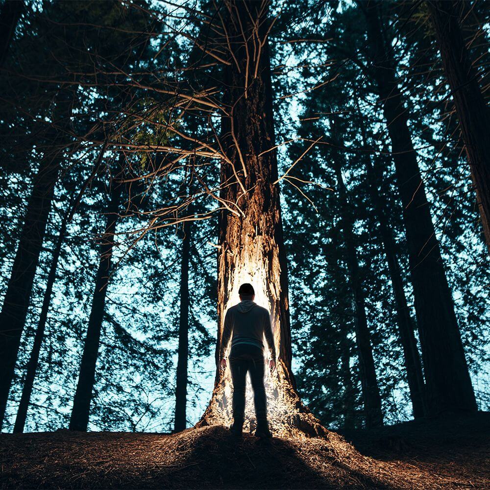 POWERCAP 35/55 Fleece LED Beanie Hat With Lights - Concordia Style Boutique