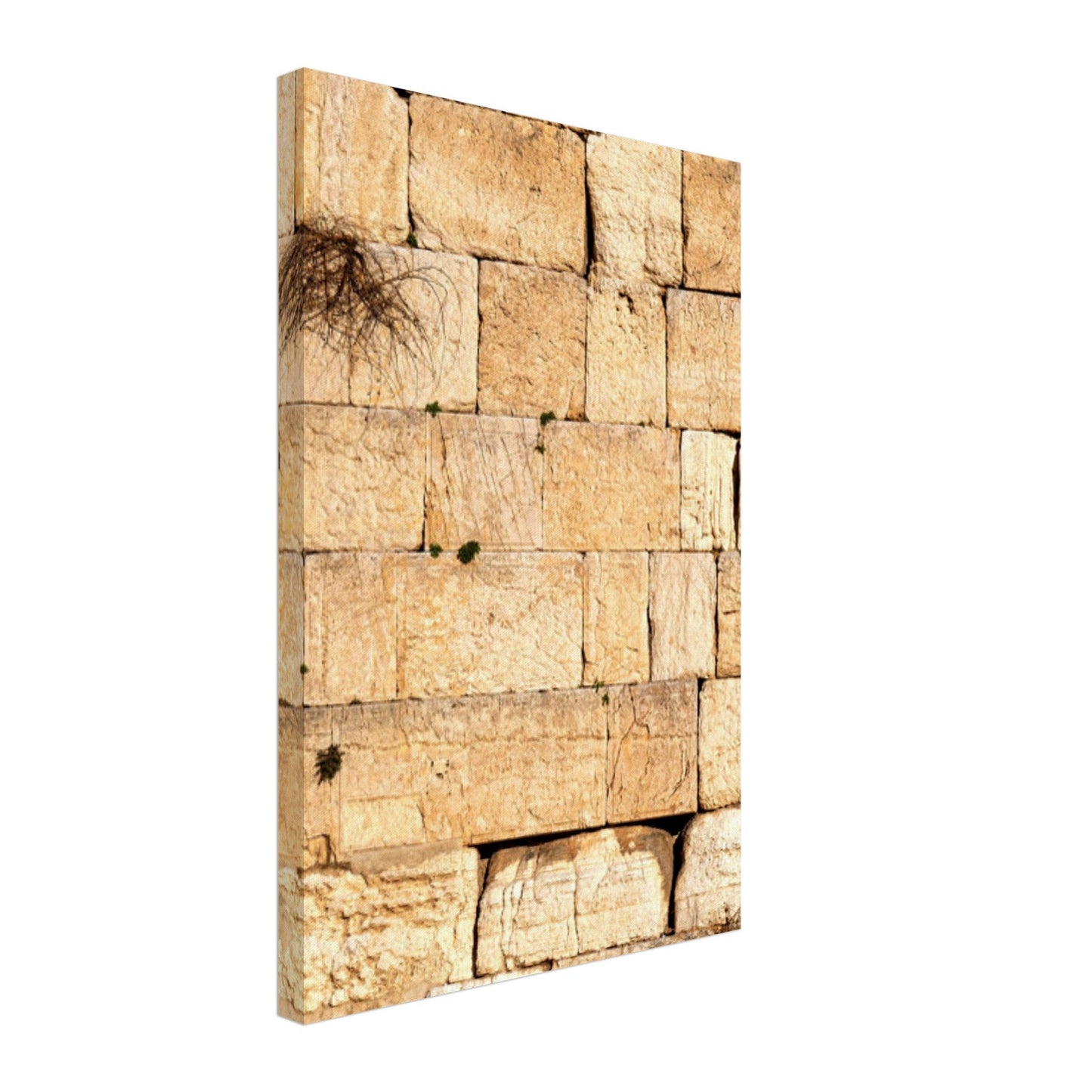 The Western Wall Brick Canvas Print