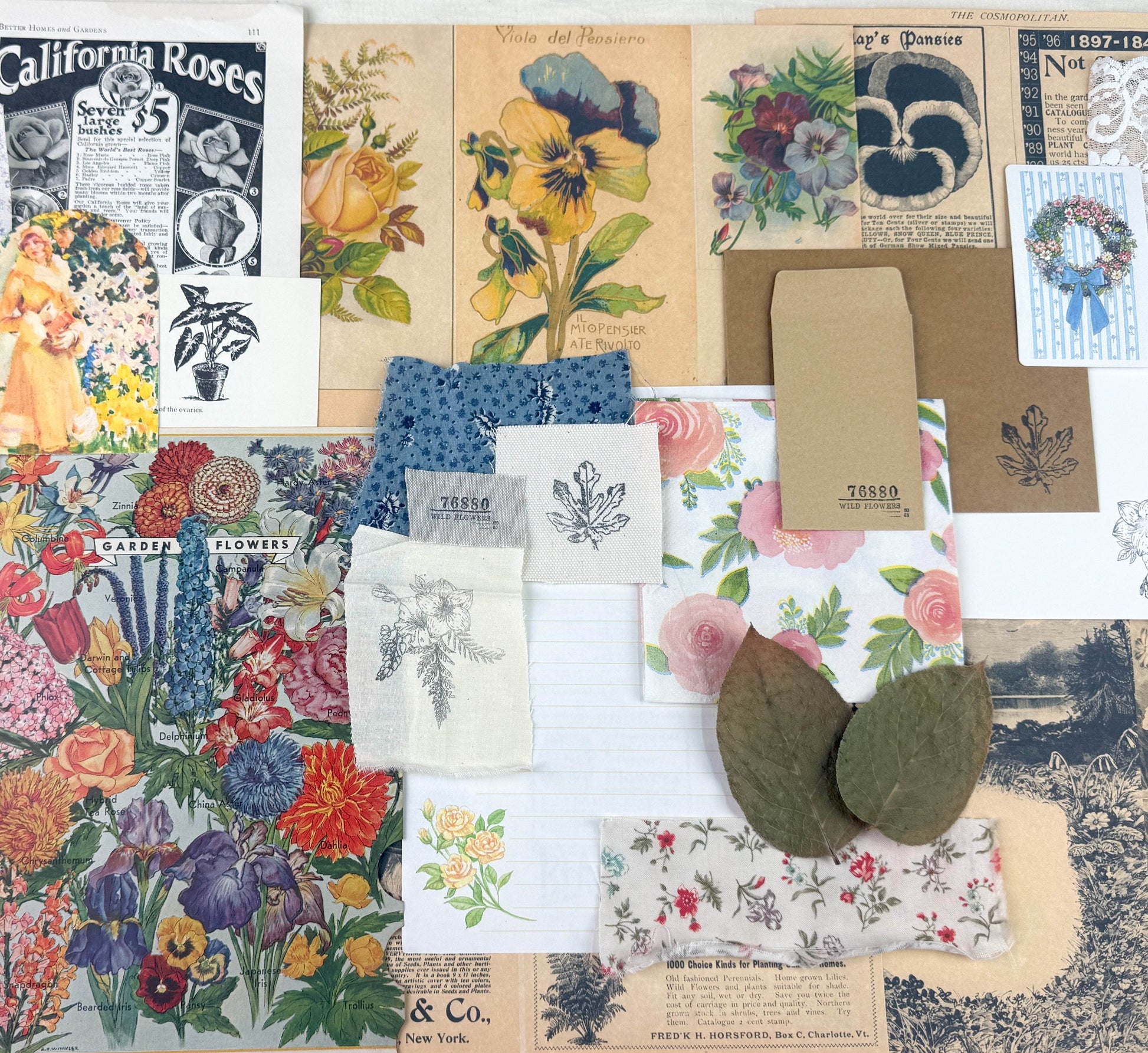 Botanical and Nature Ephemera Kit - Concordia Style Boutique