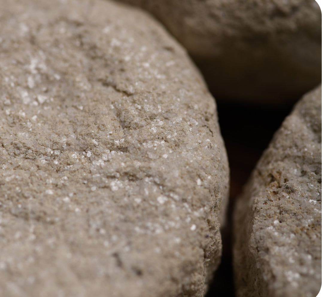 7 Day Cleansing Charcoal Tablets | Meditation | Yoga - Concordia Style Boutique