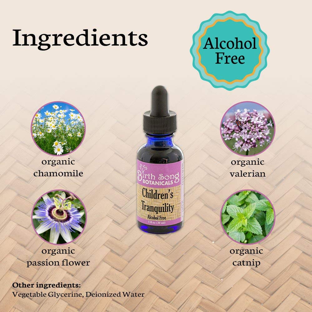 Children's Tranquility, Children's Sleep Aid* Relaxing Herbal Tincture with Chamomile for Sleep Support* 1 oz - Concordia Style Boutique