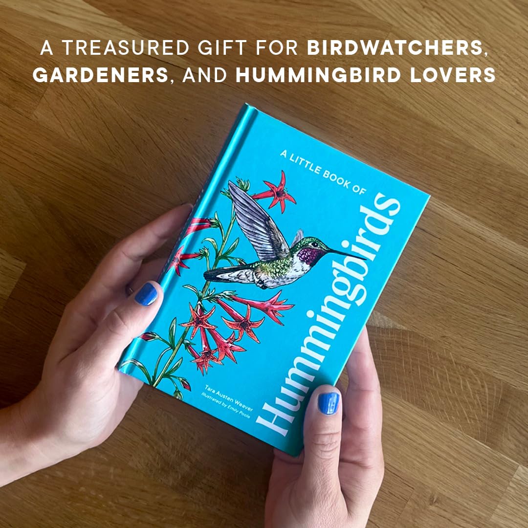 Little Book of Hummingbirds