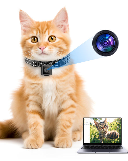 Cat Camera Collar - (No APP, No WiFi) (NO SD Card Included) - Premium Cat Camera Collar from Concordia Style Boutique - Just $59.98! Shop now at Concordia Style Boutique