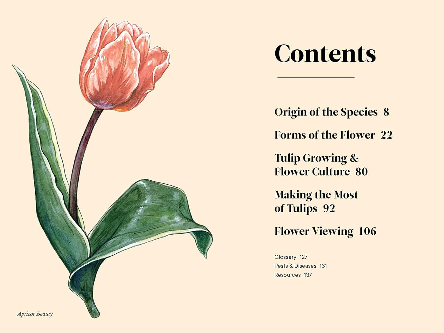 Little Book of Tulips