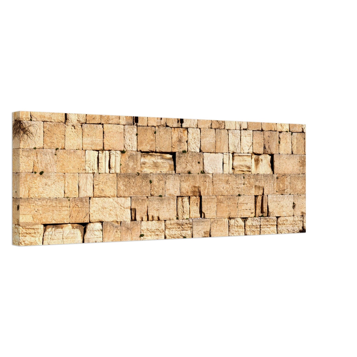 The Western Wall Brick Canvas Print