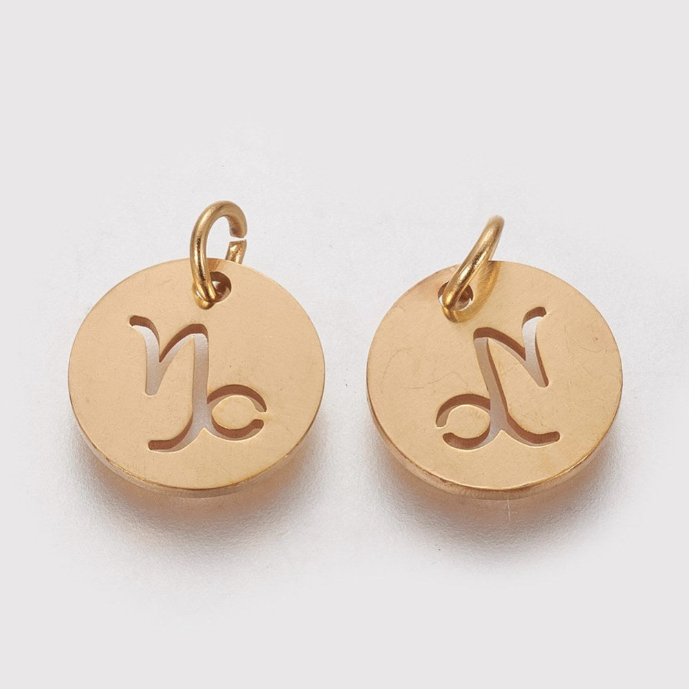 Charm - Zodiac - CAPRICORN