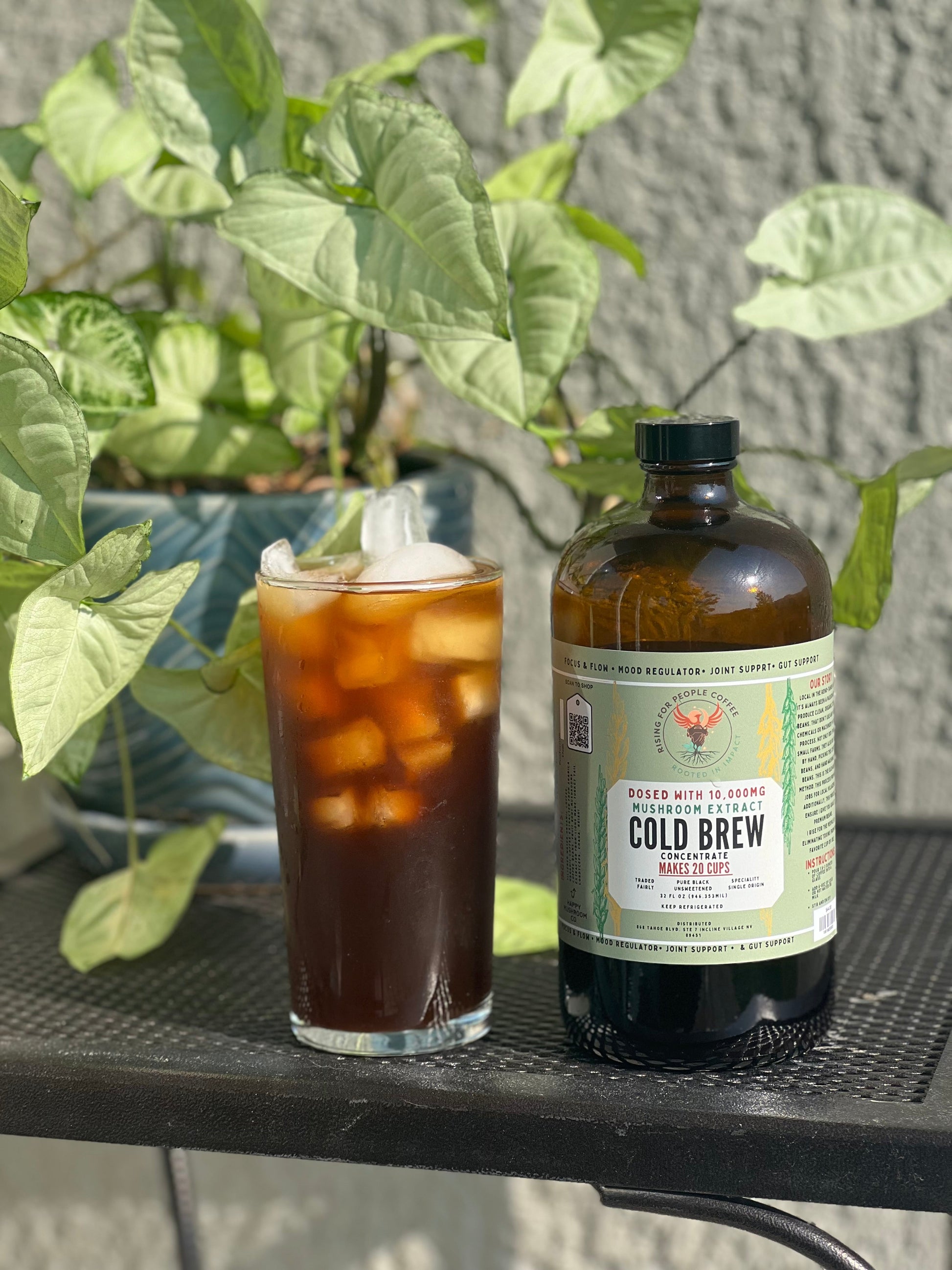 Happy Mushroom concentrated Cold Brew coffee - Concordia Style Boutique