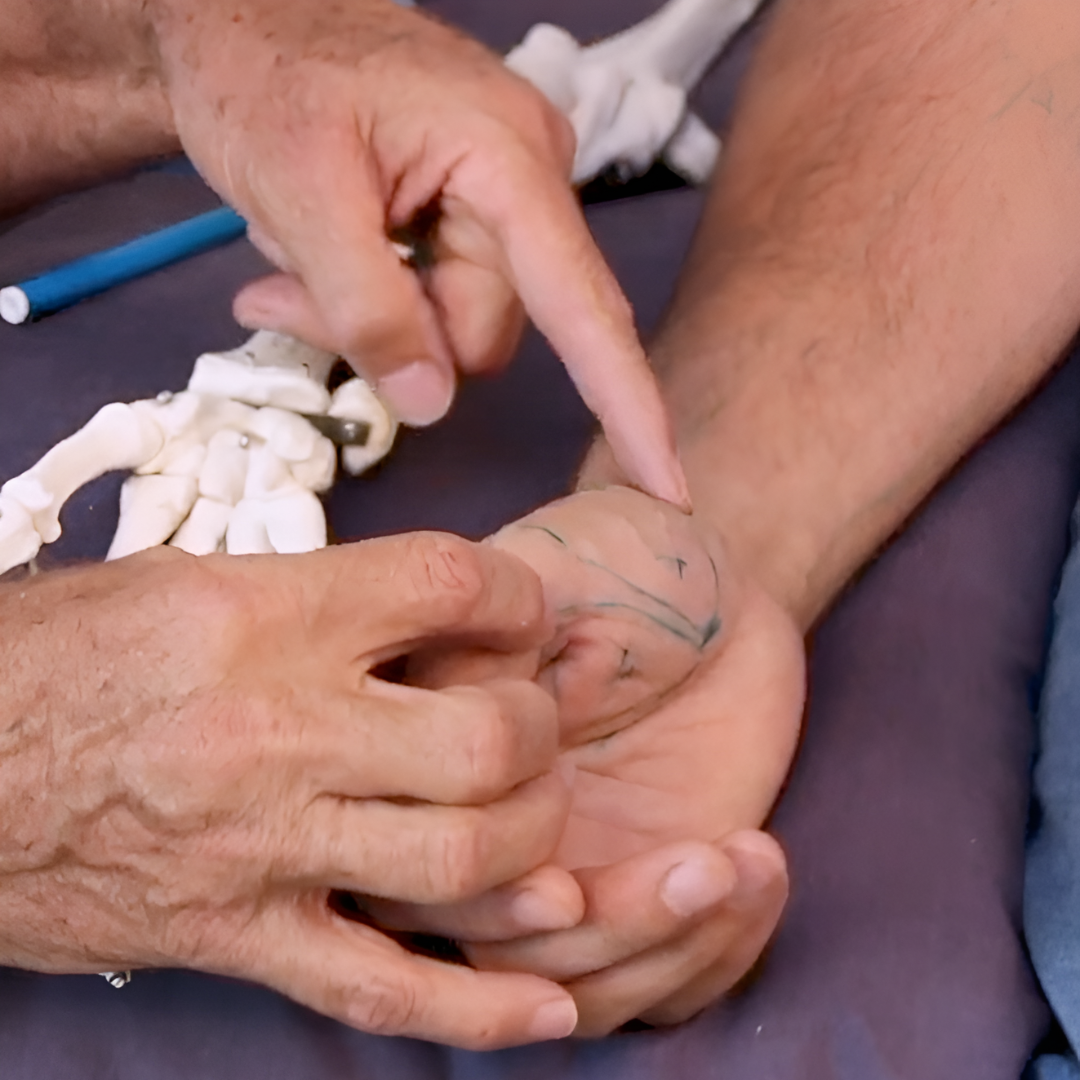 NAT Treating Elbow and Wrist Injuries (2.5 hrs) - Concordia Style Boutique