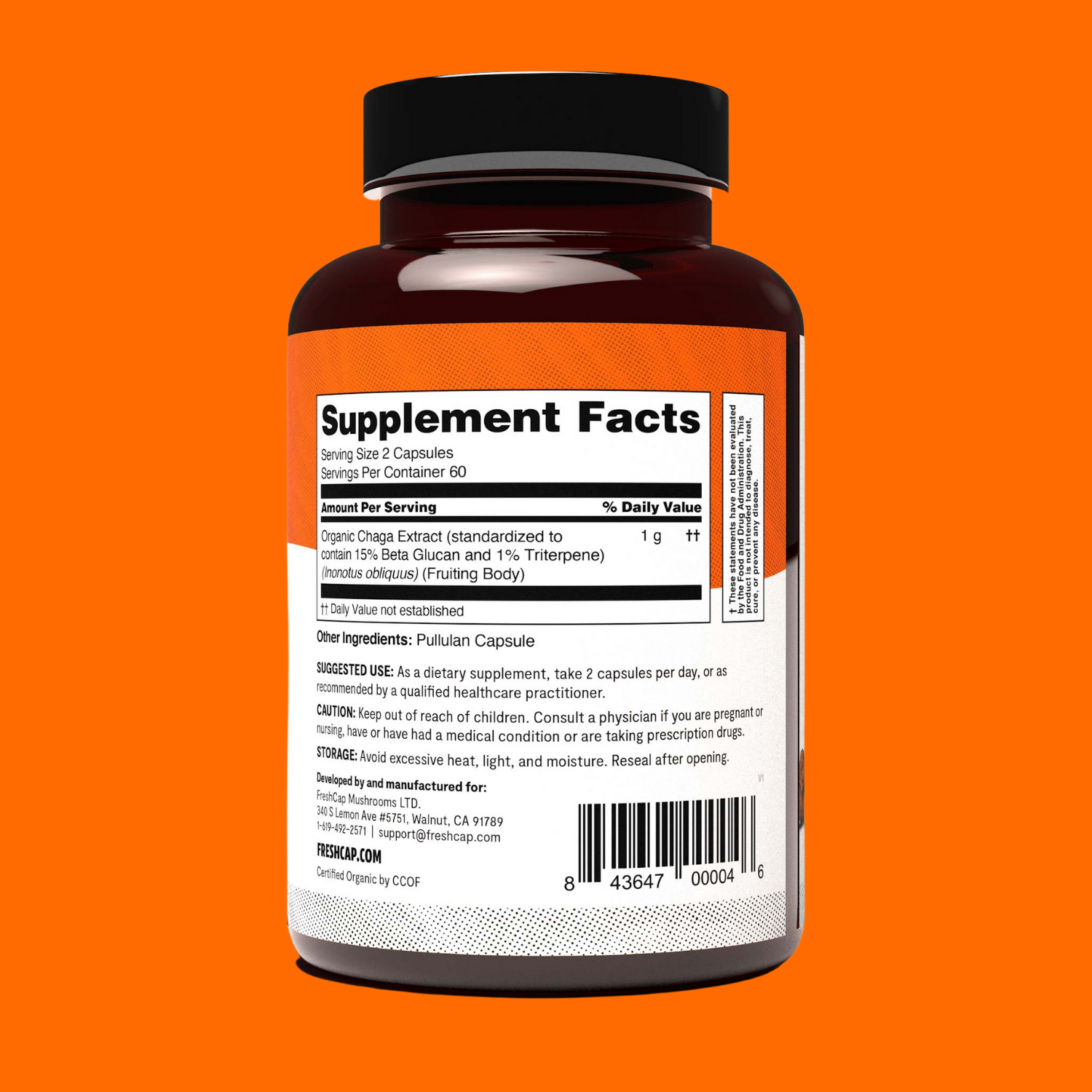 Chaga Mushroom Extract Capsules - Concordia Style Boutique