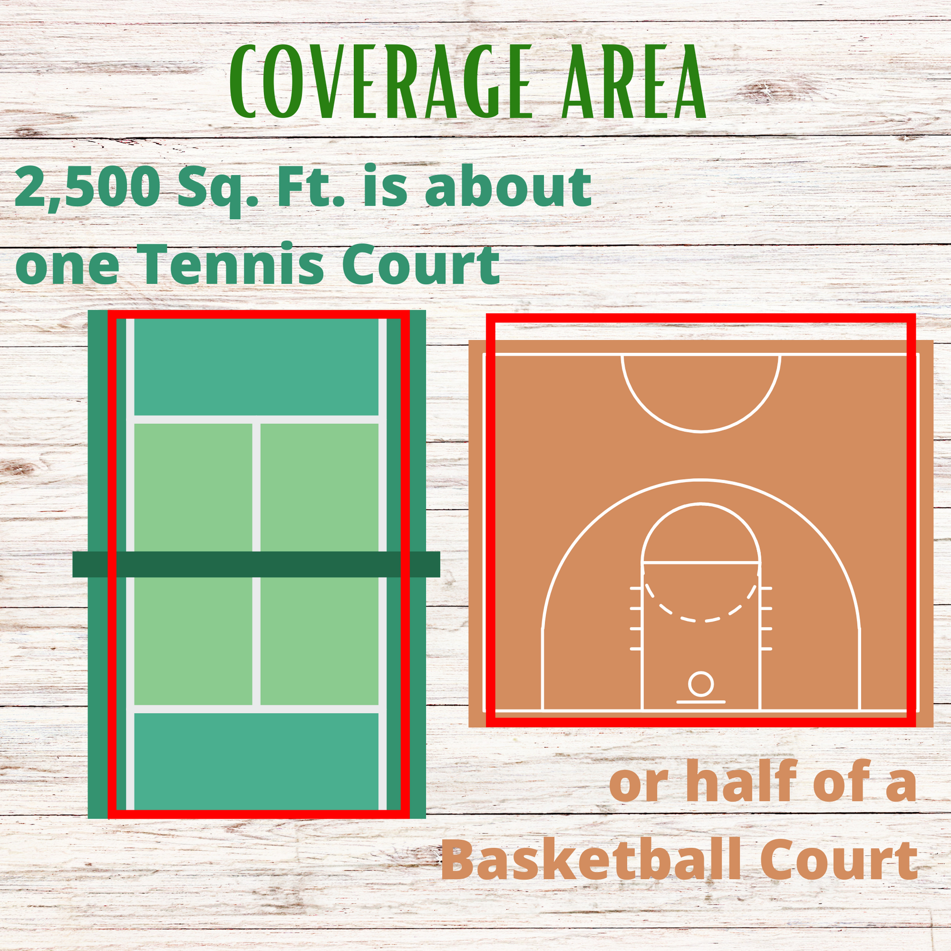 Thick Bee Lawn Seed Kit - Concordia Style Boutique