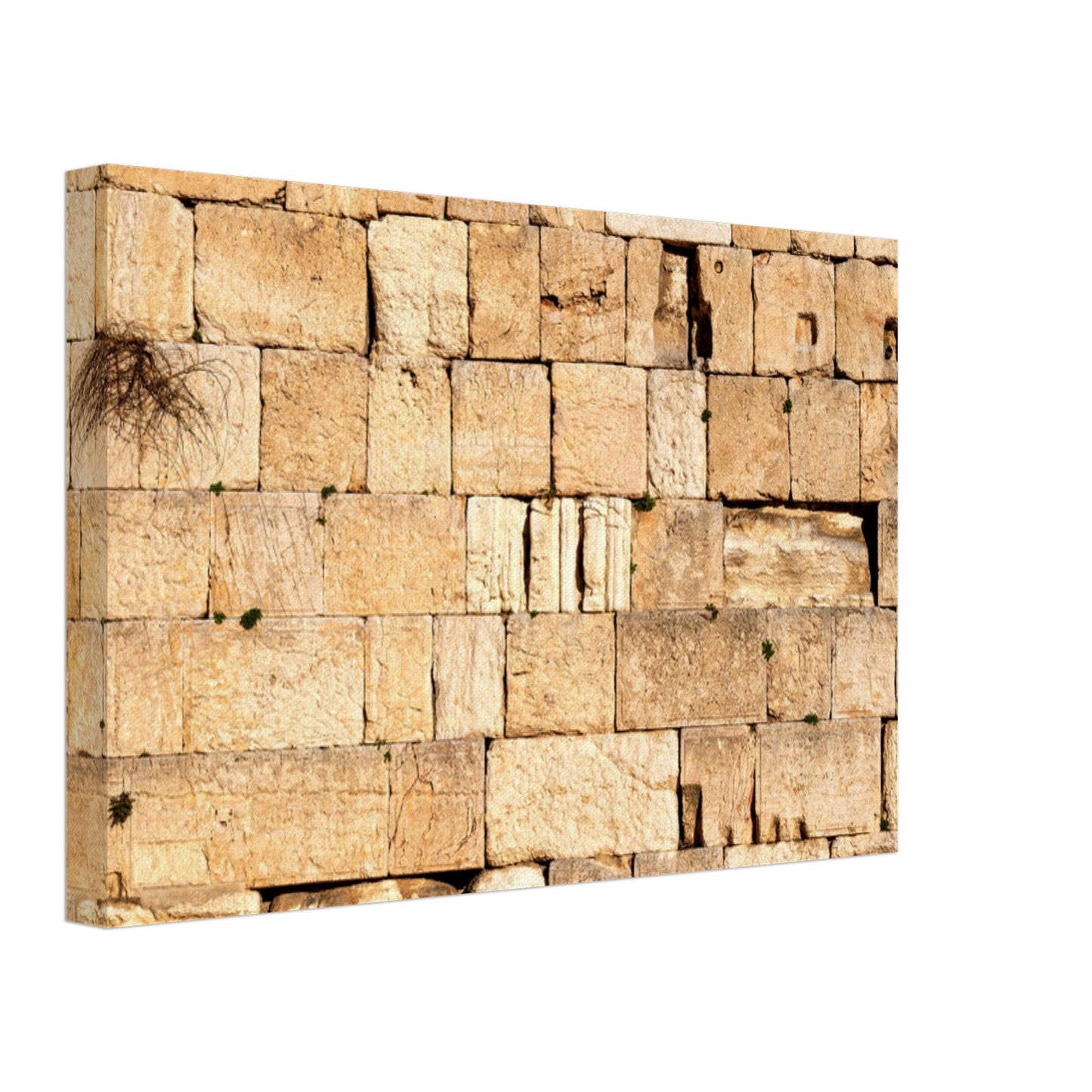 The Western Wall Brick Canvas Print