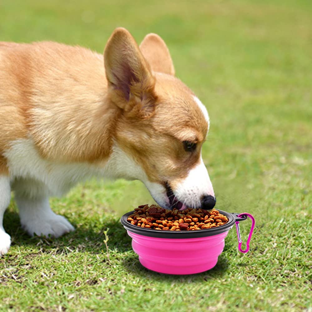 5" Portable and Foldable Small Dog Bowl-Pink set of 5