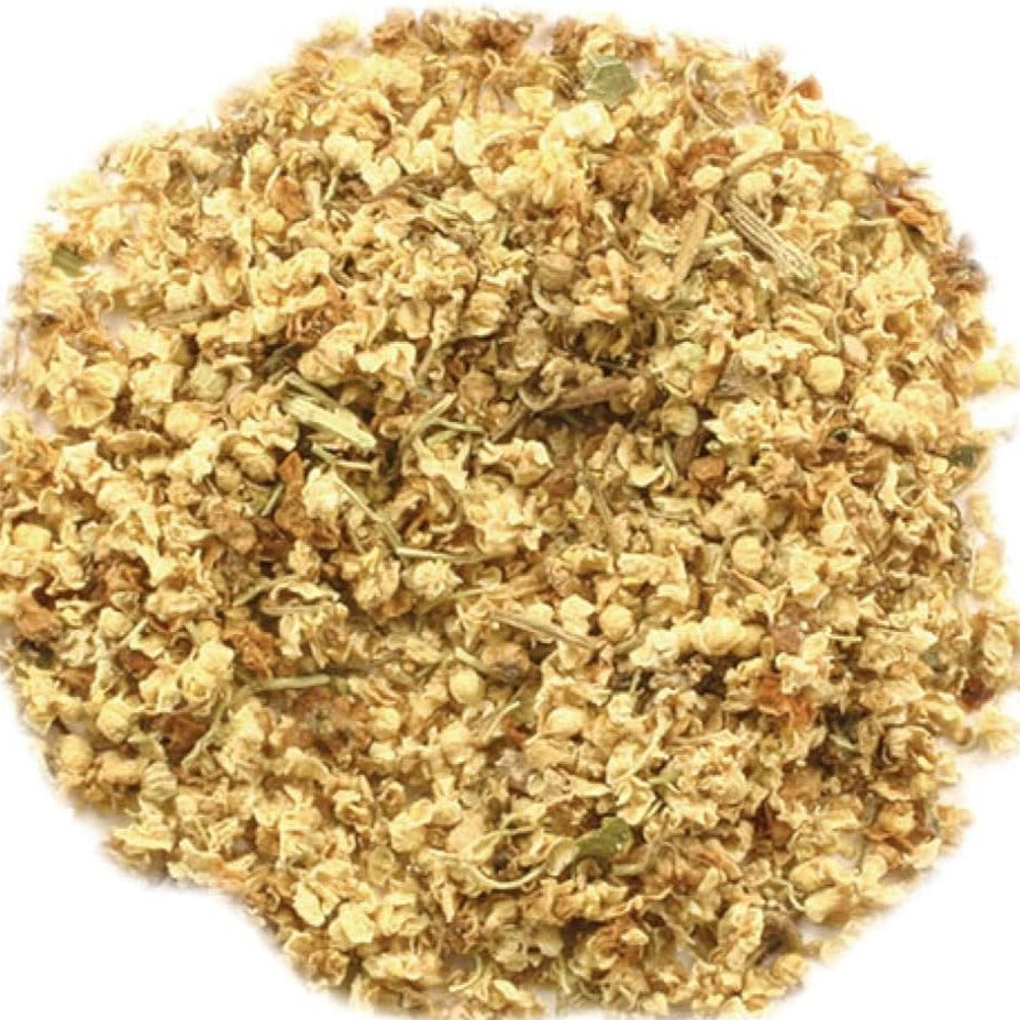 Elder Flower - Whole - Concordia Style Boutique