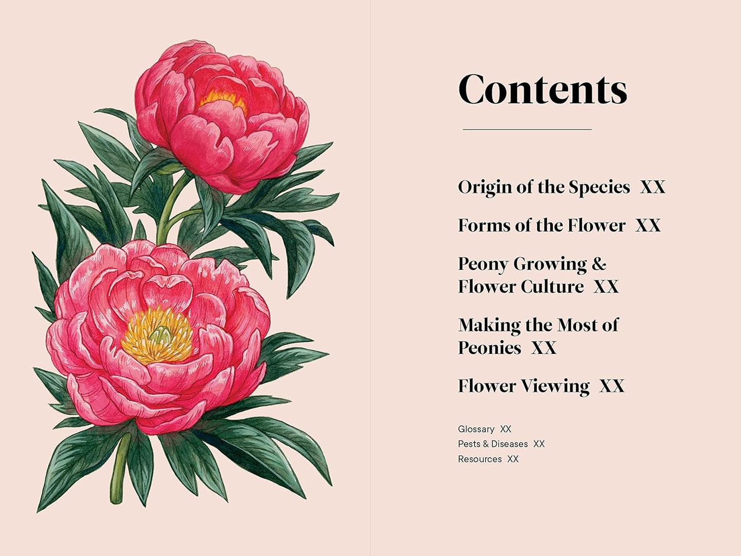 Little Book of Peonies