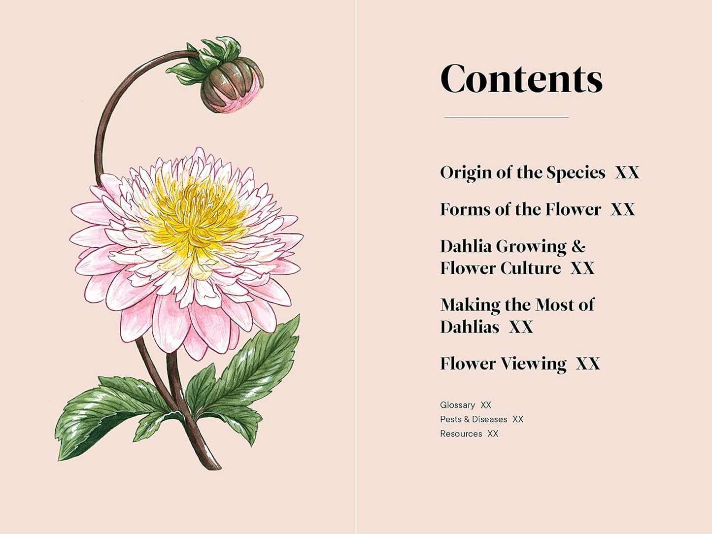 Little Book of Dahlias