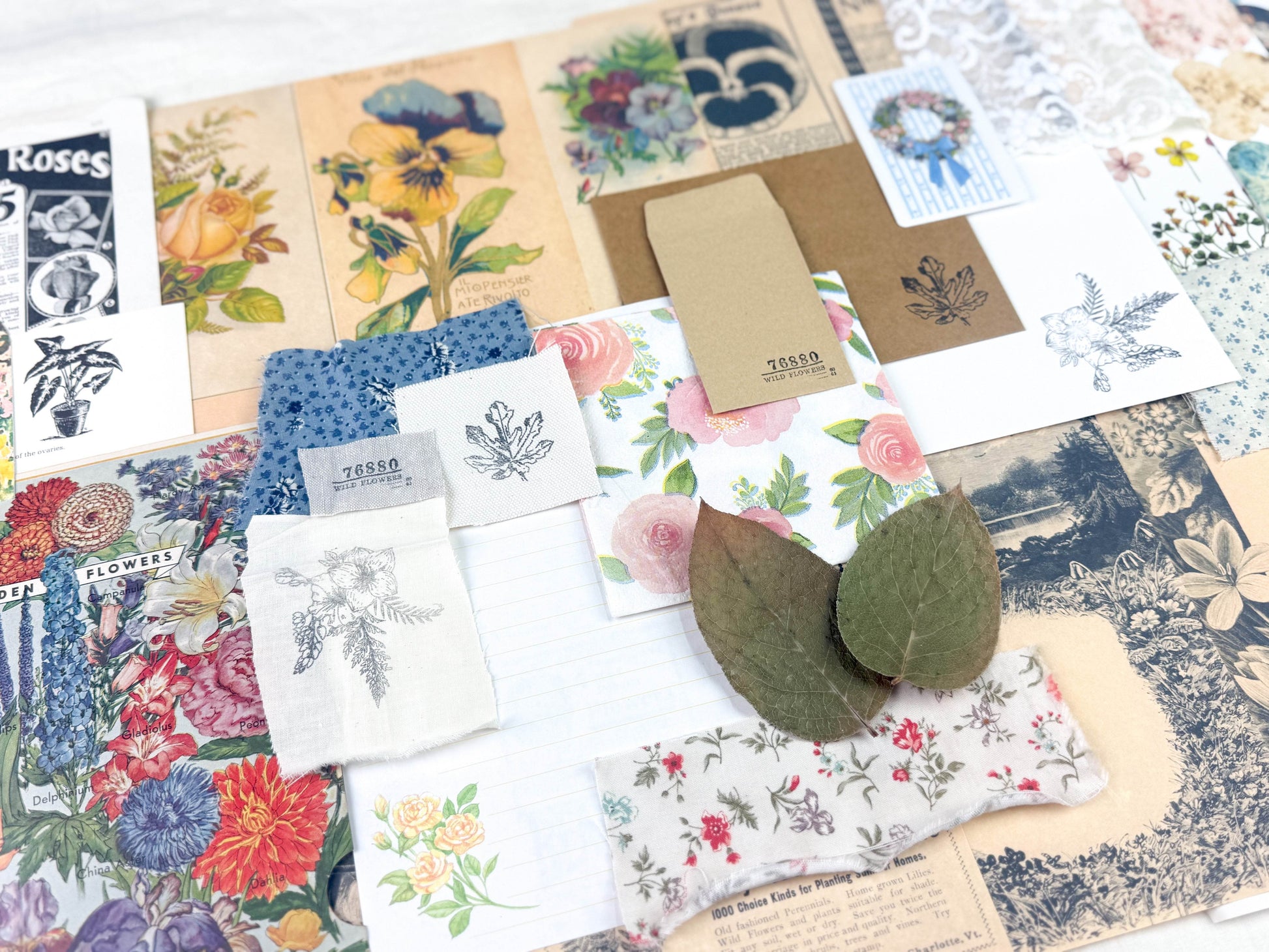 Botanical and Nature Ephemera Kit - Concordia Style Boutique