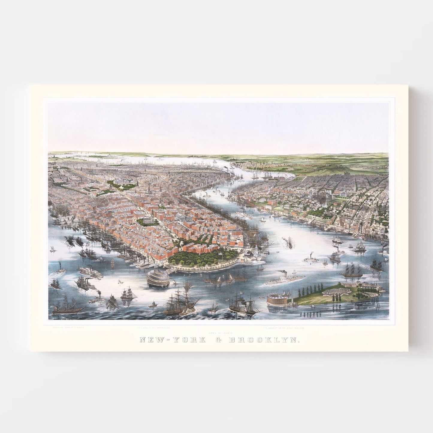 Vintage Map of Brooklyn, New York 1852 - Concordia Style Boutique