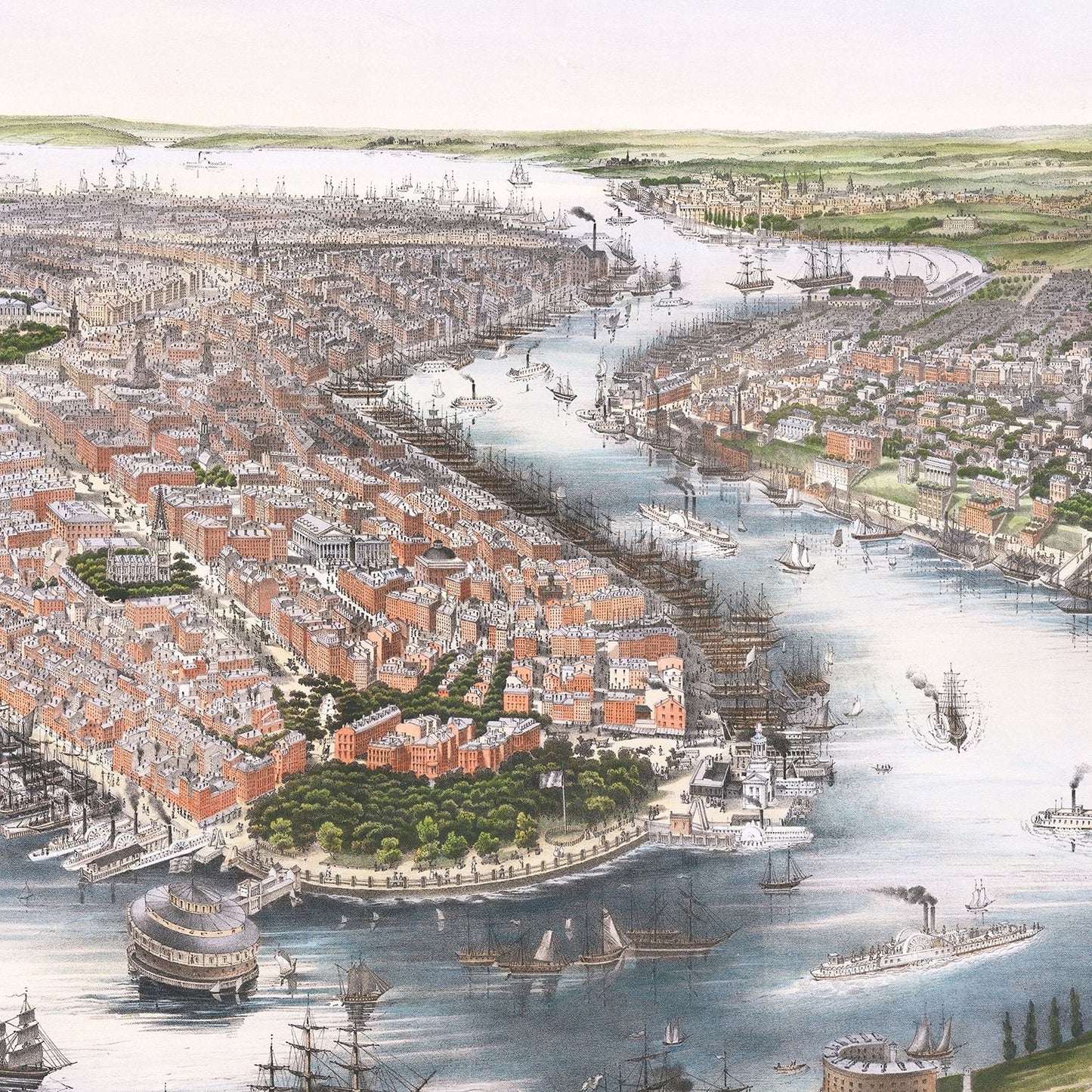 Vintage Map of Brooklyn, New York 1852 - Concordia Style Boutique