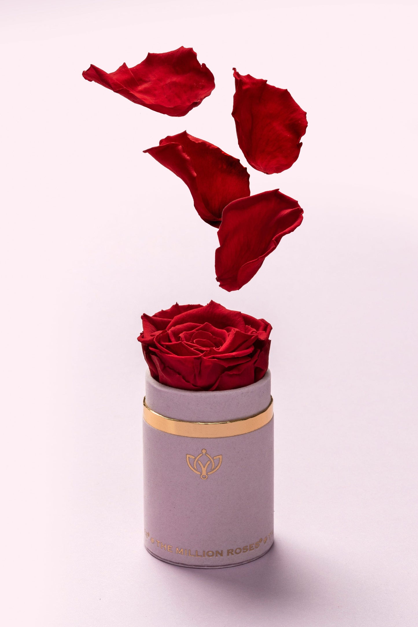 Single Light Pink Suede Box | Red Rose