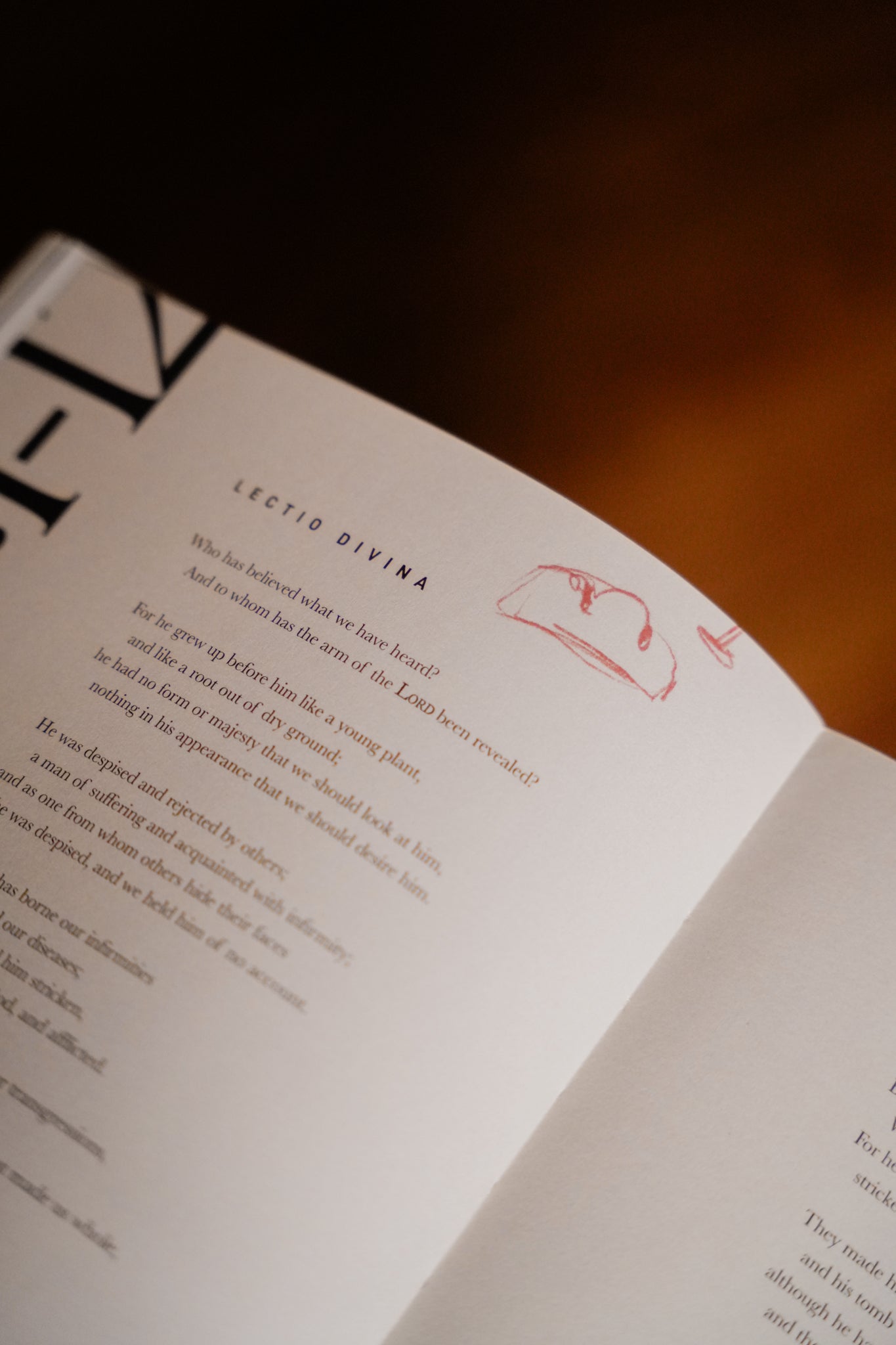 Rescued: A Study on the Lamb of God - Concordia Style Boutique